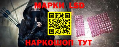 крисы Шелехов