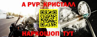 крисы Шелехов