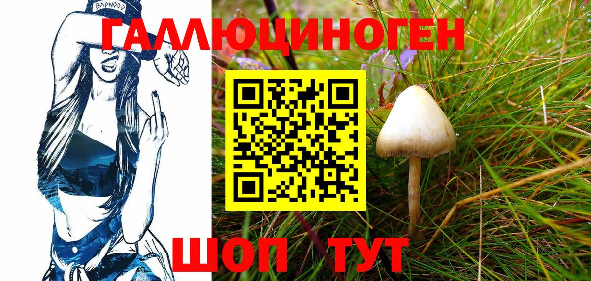 Псилоцибиновые грибы Psilocybe  Галлюциногенные грибы GOLDEN TEACHER  Вход с VPN  Тара 